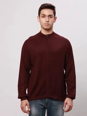 Park Avenue Men Red Regular Fit Solid Cotton Full Sleeve V Neck Collar Pullovers